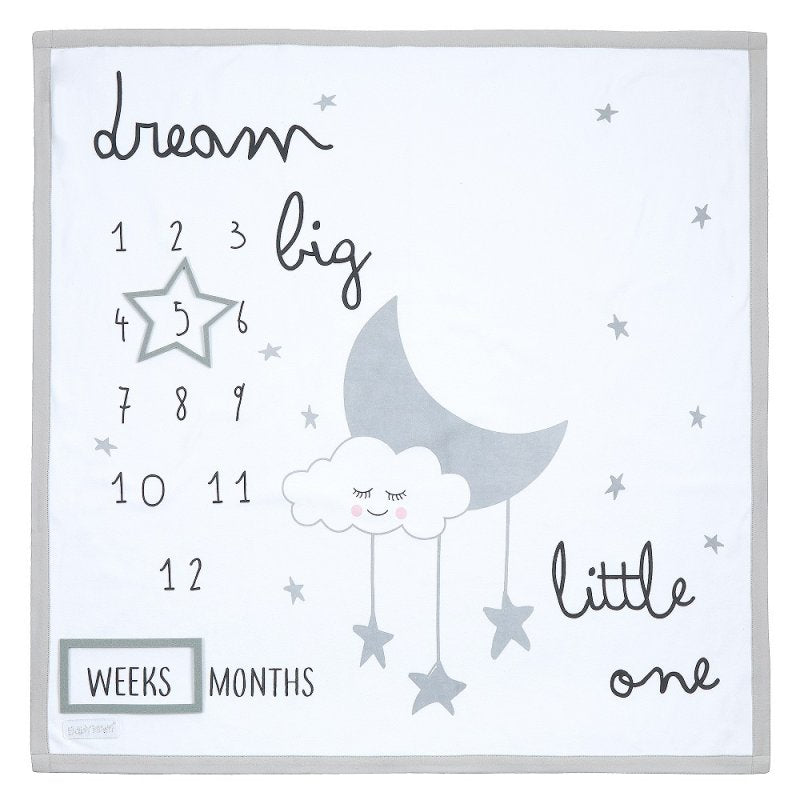 Baby Milestones 3 Piece Luxury Blanket Set