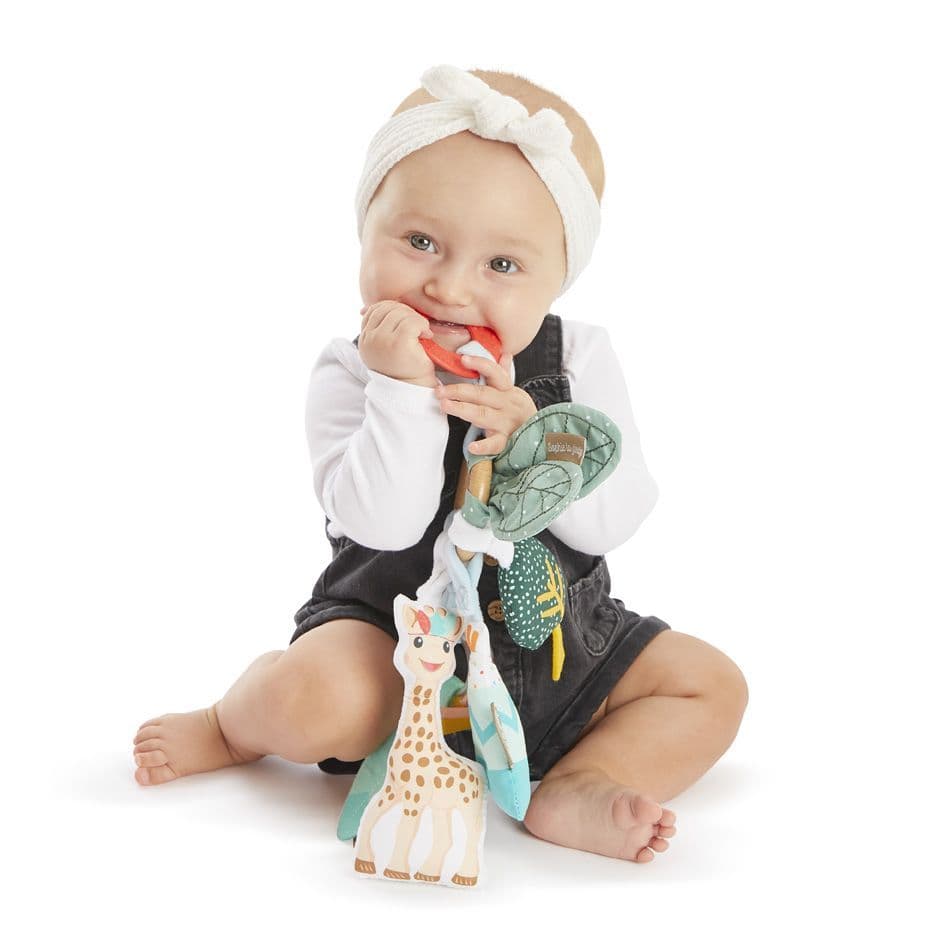 Activities Ring Sophie La Girafe